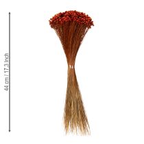 Product Dried flower bouquet, a charming addition to vases or arrangements, 44cm