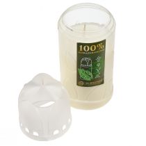 Product Grave candle, white, vegetable oil ICP, burning time 4 days, H20cm
