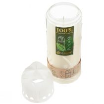 Product Grave candle white weekly burner ICP compostable H24cm