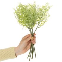 Product Ornamental asparagus branch, natural addition to flower bouquets, 34cm, 7 pieces