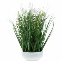 Decorative grass with Cosmea flowers in a bowl H45cm