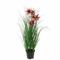 Artificial grass with Echinacea in a Pink 44cm pot
