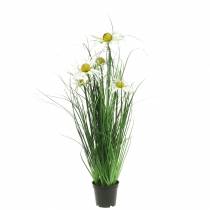 Artificial grass with Echinacea in a white pot 52cm