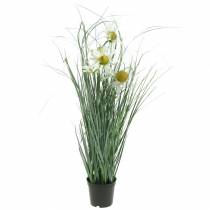 Product Artificial grass with Echinacea in a white pot 56cm