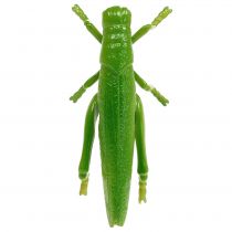 Product Grasshopper Green 11cm 1 pc