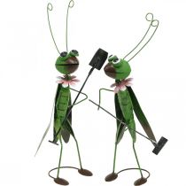 Grasshopper Garden Figurine Metal Decoration Cricket with Rake and Spade H33cm Set of 2