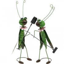 Product Grasshopper Garden Figurine Metal Decoration Cricket with Rake and Spade H33cm Set of 2
