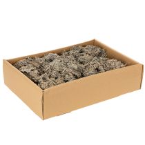 Product Decorative moss, grey moss for crafts, 500g