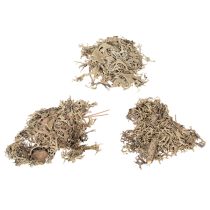 Product Decorative moss, grey moss for crafts, 500g