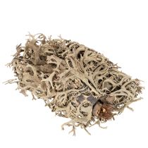 Product Decorative moss, grey moss for crafts, 500g