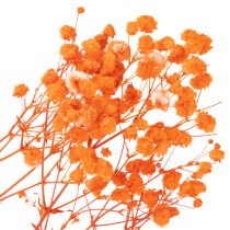 Product Baby's breath dried flower bouquet Gypsophila 75cm 100g