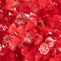 Product Dried Baby's Breath (Gypsophila) Bunch 75cm 100g