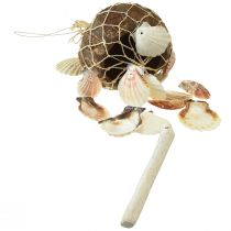 Product Hanging decoration shells coconut shell decoration maritime 53cm 2pcs