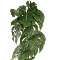 Product Artificial Monstera with large foliage for stylish accents in the living area 120cm