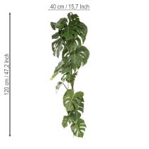 Product Artificial Monstera with large foliage for stylish accents in the living area 120cm