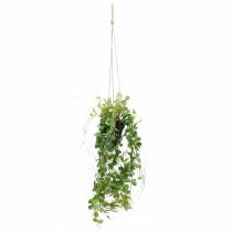 Product Hanging plant in a pot Artificial green plant Hanging basket