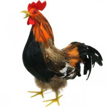 Decorative rooster with feathers Easter decoration figure farm rooster 36cm