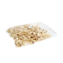 Product Hakea Bleached dried branches Medium sized 30-40cm 25pcs