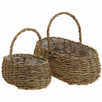 Plant basket with handle basket flower basket L23/35cm set of 2
