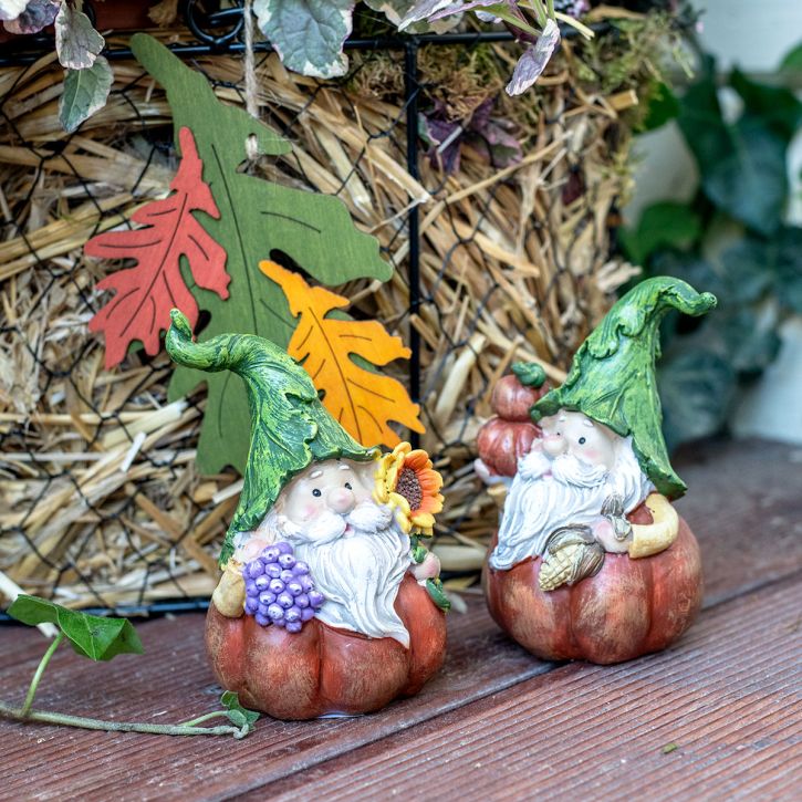 Product Autumn gnome pumpkin decoration gnome figure assorted H11.5cm 2pcs