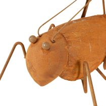 Product Grasshopper Garden Decoration Rust Metal Décor 26cm