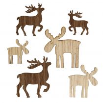 Product Mix reindeer for scattering brown, natural 3cm - 5cm 72pcs
