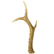 Product Deer antler decoration artificial antlers table decoration 28×14cm