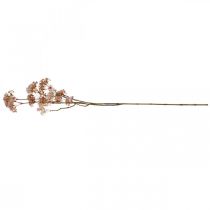 Product Blossoming deco branch dusky pink Artificial meadow flowers 88cm