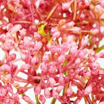 Elderflower branch pink 54.5cm 4pcs