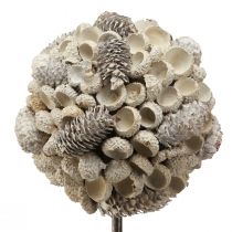 Product Wooden Decoration Tree Winter Decoration Birch Acorns Cones White H40cm