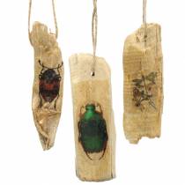 Decoration hanger insects wood 9-13cm 36pcs