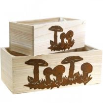 Plant box set, wooden boxes with mushrooms, autumn decoration, stainless steel L40 / 30cm, set of 2