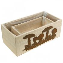 Product Plant box set, wooden boxes with mushrooms, autumn decoration, stainless steel L40 / 30cm, set of 2