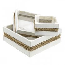 Product Plant box wood white with rope box for planting 15/20/30cm set of 3