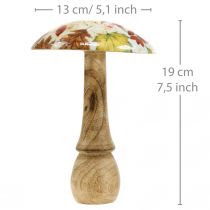 Product Wooden mushroom deco autumn leaves white, colorful autumn decoration Ø13cm H19cm