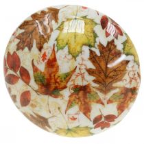 Product Wooden mushroom deco autumn leaves white, colorful autumn decoration Ø13cm H19cm