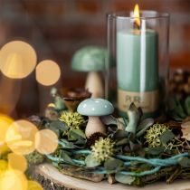 Product Wooden Mushrooms Decorative Mushrooms Wooden Toadstools Green Mint 5cm 8 pcs