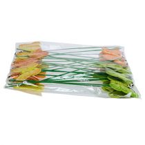 Product Wooden butterflies on stick 3-color assorted 8cm 24 pcs