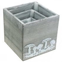 Product Wooden cubes with mushrooms, autumn decoration, plant box 20/16/12 cm, set of 3