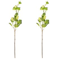 Product Hop Branch 70cm Green 2 Pcs Artificial Plant