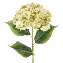 Product Artificial hydrangea flower with long stem and leaves, 60cm