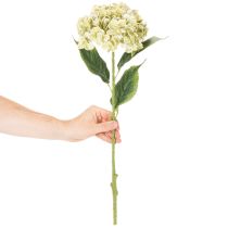 Product Artificial hydrangea flower with long stem and leaves, 60cm