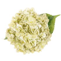 Product Artificial hydrangea flower with long stem and leaves, 60cm