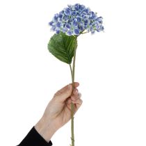 Product Hydrangea flowering branch for stylish home decoration, 80cm, 2 pieces