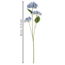 Product Hydrangea flowering branch for stylish home decoration, 80cm, 2 pieces