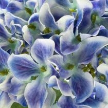 Product Hydrangea flowering branch for stylish home decoration, 80cm, 2 pieces