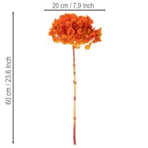 Product Hydrangea, preserved and dyed, large bloom with long stem, 60cm