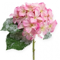 Hydrangea pink with snow effect 25cm