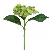 Artificial hydrangea, flower decoration, silk flower green L44cm