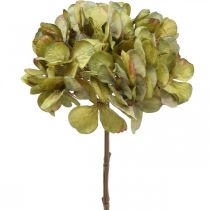 Hydrangea artificial green artificial flower 64cm
